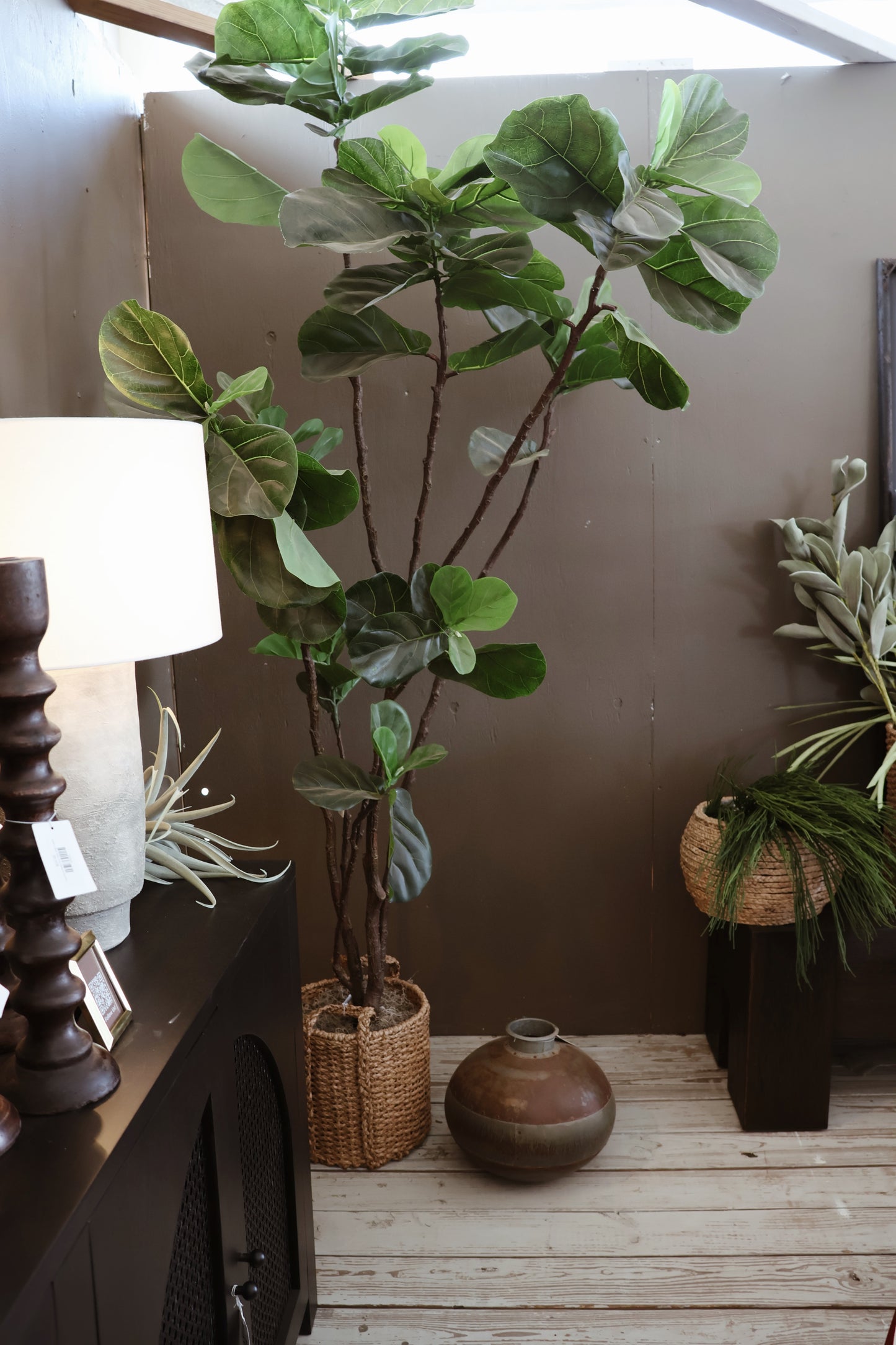 EVA FIDDLE LEAF TREE IN POT 8'