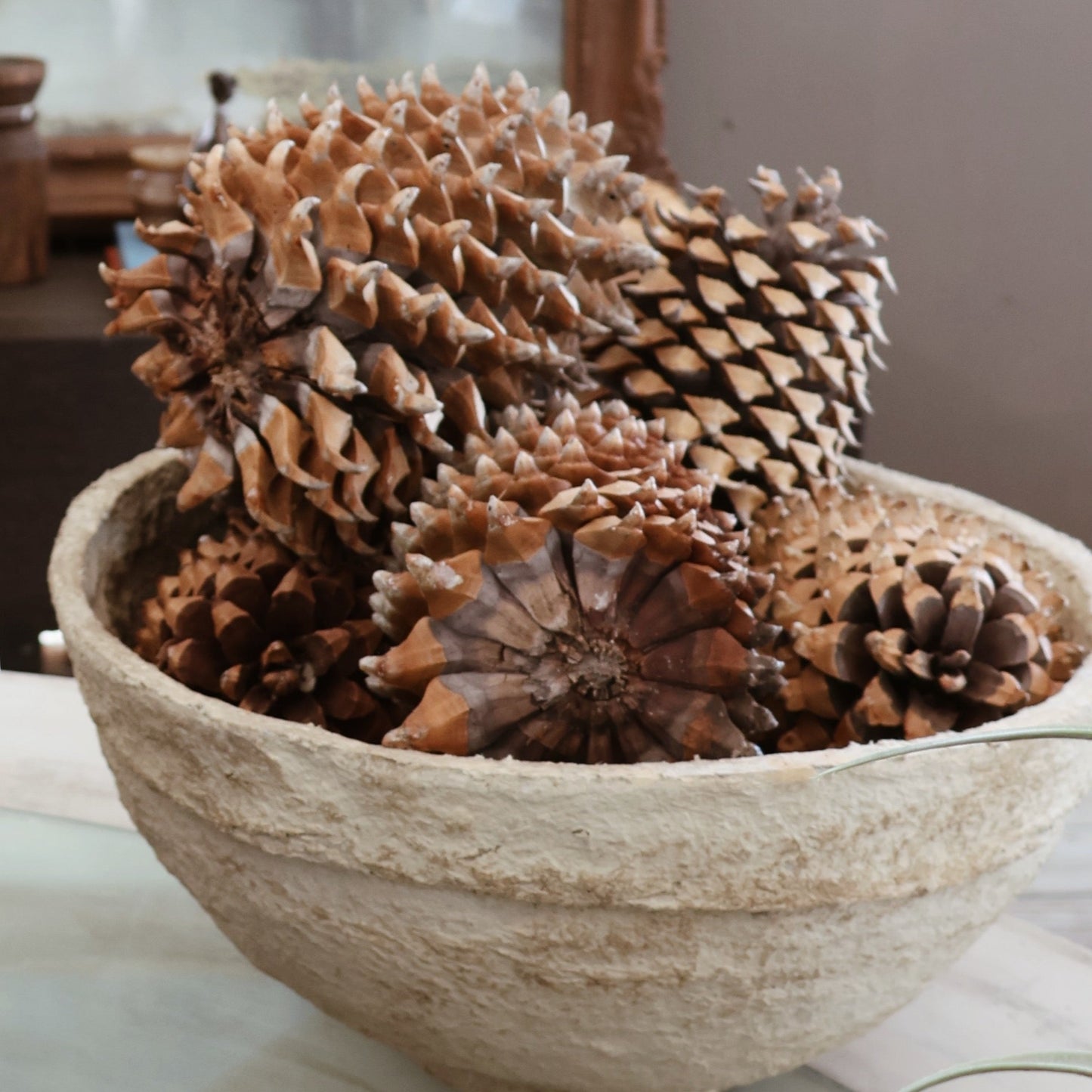GIANT PINE CONE